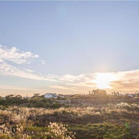 Jeju Washington Pension Согвипхо Экстерьер фото