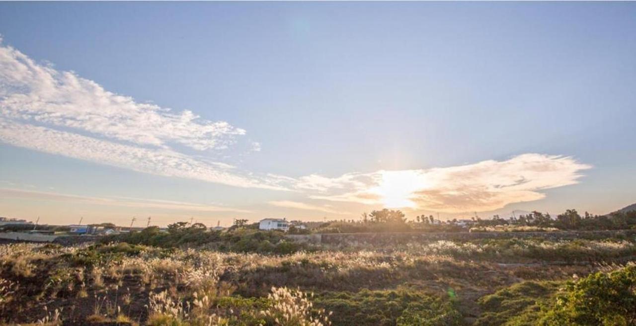 Jeju Washington Pension Согвипхо Экстерьер фото